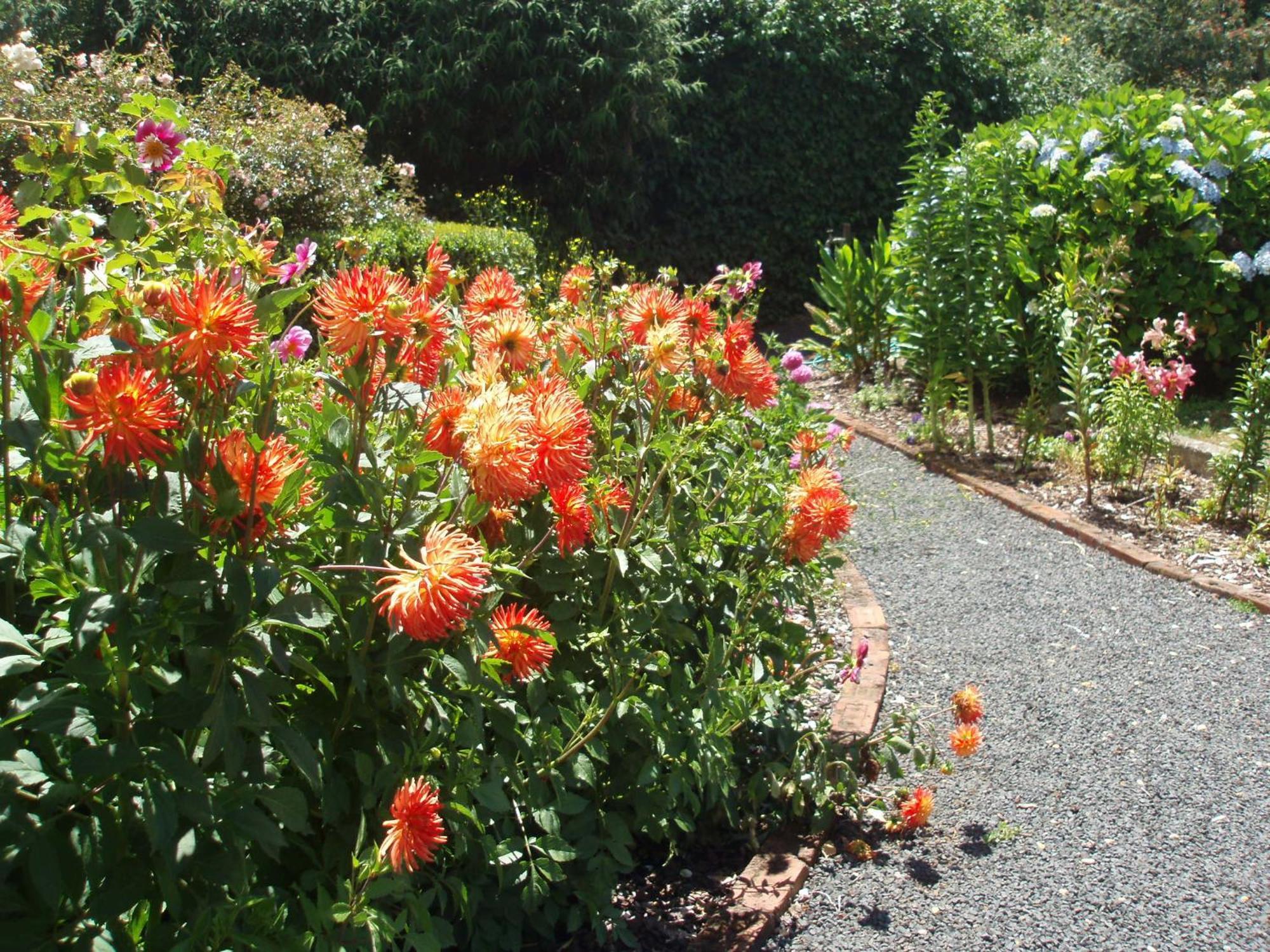 Boat Harbour Garden Cottages Esterno foto
